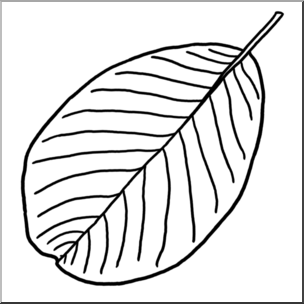 Clip Art: Leaf: English Walnut B&W