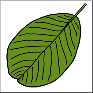 Clip Art: Leaf: English Walnut Color