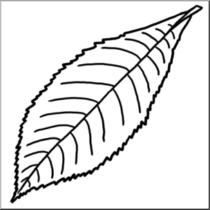 Clip Art: Leaf: Hickory B&W