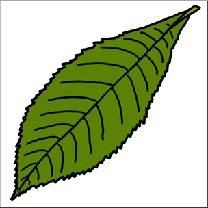 Clip Art: Leaf: Hickory Color