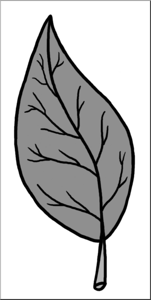Clip Art: Leaf Parts Grayscale Unlabeled
