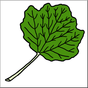 Clip Art: Leaf: Poplar Color