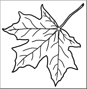 Clip Art: Leaf: Sugar Maple B&W