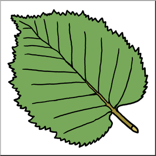 Clip Art: Leaf: White Birch Color