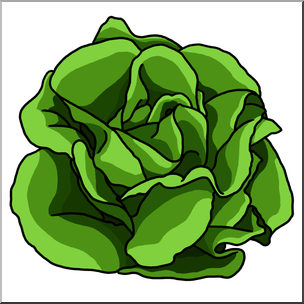 Clip Art: Lettuce Color