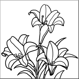 Clip Art: Lilies B&W