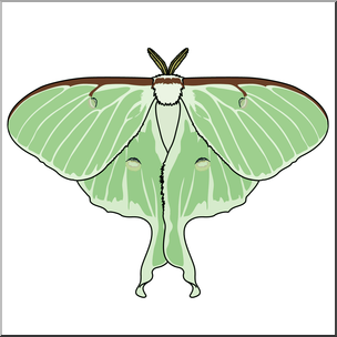 Clip Art: Moth: Luna Color