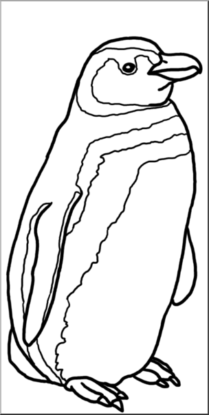 Clip Art: Penguin: Magellanic B&W