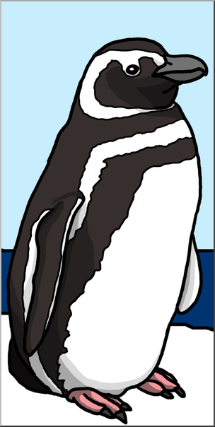 Clip Art: Penguin: Magellanic Color 1
