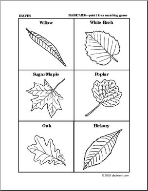 Flashcards: Leaves (preschool/primary)