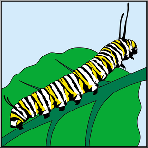 Clip Art: Butterfly: Monarch Caterpillar Color