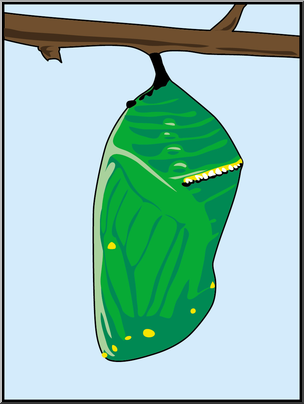 Clip Art: Butterfly: Monarch Chrysalis Color