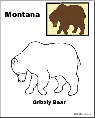 Montana: State Animal  – Grizzly Bear