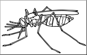 Clip Art: Insects: Mosquito B&W