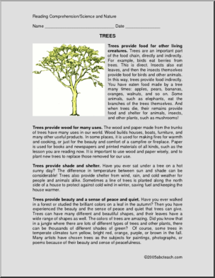 Comprehension: Trees (upper elementary/middle)