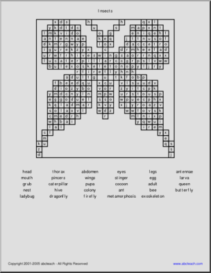 Word Search: Insects