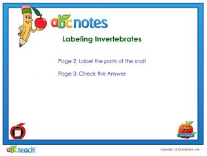 Interactive: Notebook: Animals: Snail Label