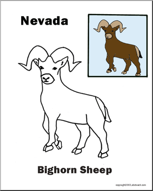 Nevada: State Animal – Bighorn Sheep