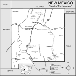 Clip Art: US State Maps: New Mexico Grayscale Detailed
