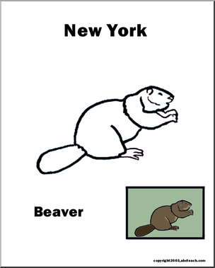 New York: State Animal –  Beaver