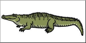 Clip Art: Nile Crocodile Color 2