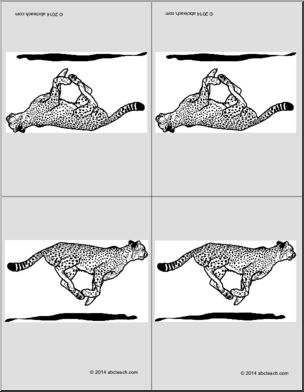 Nomenclature Cards: Cheetah (4) (foldable)