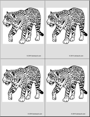 Nomenclature Cards: Jaguar (4) (b/w)
