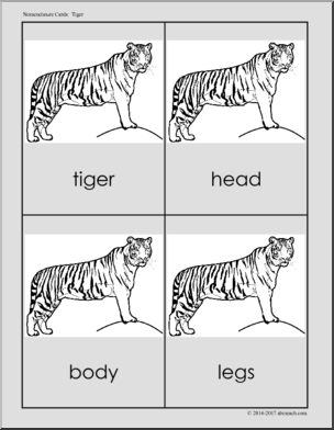 Nomenclature Cards: Tiger, Labeled (B/W)