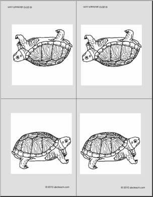 Nomenclature Cards: Turtle (4, foldable) (b/w)