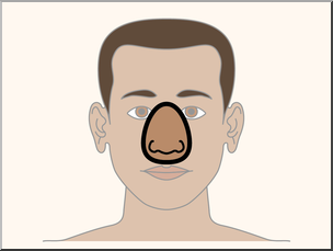 Clip Art: Parts of the Body: Nose Color Unlabeled