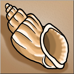 Clip Art: Seashells: Nutmeg Shell Color