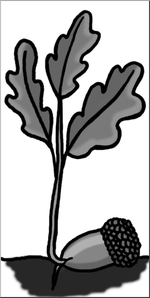 Clip Art: Oak Sprout Grayscale