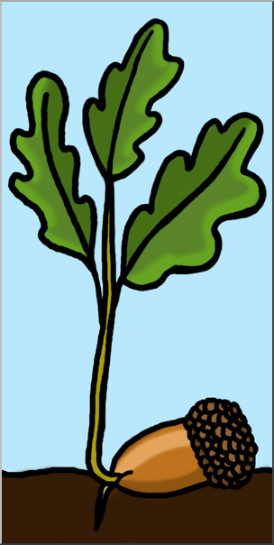 Clip Art: Oak Sprout Color 2