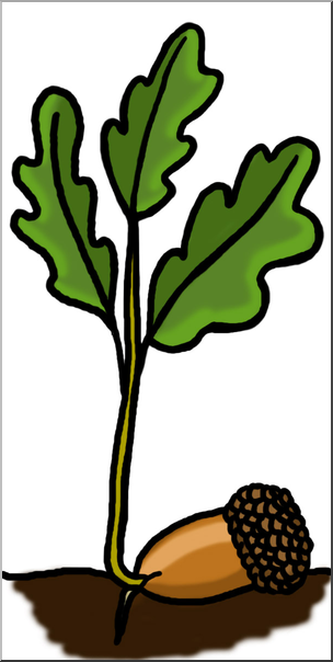 Clip Art: Oak Sprout Color 1