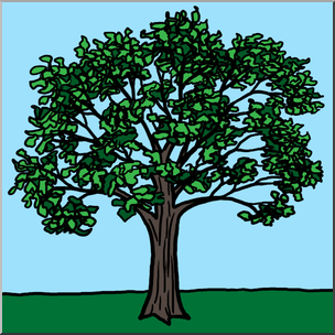 Clip Art: Oak Tree Color 2