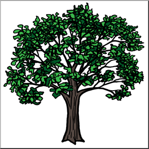 Clip Art: Oak Tree Color 1