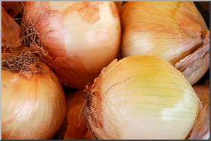Photo: Onions 01a LowRes