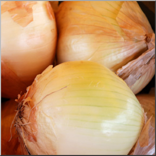 Photo: Onions 01b LowRes