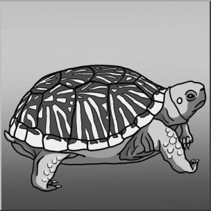 Clip Art: Ornate Box Turtle Grayscale