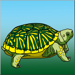 Clip Art: Ornate Box Turtle Color