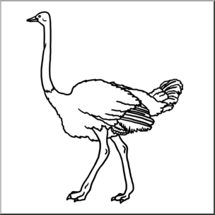 ostrich clip art black and white