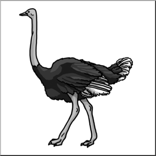 Clip Art: Ostrich Grayscale