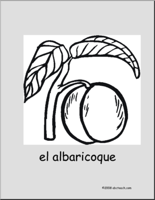 Spanish: PÂ·gina para colorear: El albaricoque (primaria)