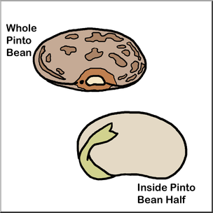 Clip Art: Seed Parts Color Unlabeled