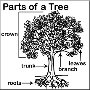Clip Art: Tree Parts B&W