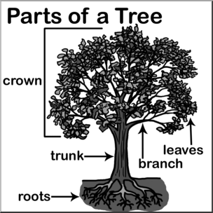 Clip Art: Tree Parts Grayscale