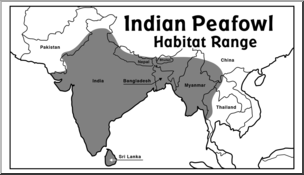 Clip Art: Habitat Map: Peafowl Grayscale