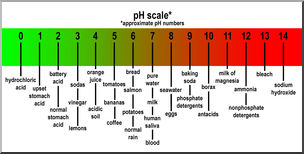 Clip Art: pH Scale Color