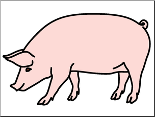 Clip Art: Pig Color