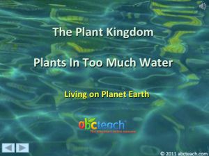 PowerPoint: Presentation with Audio: Plant Kingdom 9: Aquatic Plants  (upper elem/middle/high)